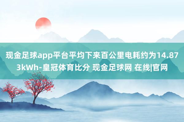 现金足球app平台平均下来百公里电耗约为14.873kWh-皇冠体育比分 现金足球网 在线|官网