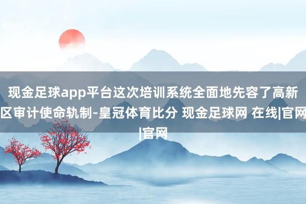 现金足球app平台这次培训系统全面地先容了高新区审计使命轨制-皇冠体育比分 现金足球网 在线|官网