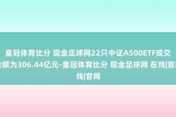 皇冠体育比分 现金足球网22只中证A500ETF成交金额为306.44亿元-皇冠体育比分 现金足球网 在线|官网