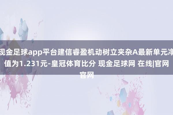 现金足球app平台建信睿盈机动树立夹杂A最新单元净值为1.231元-皇冠体育比分 现金足球网 在线|官网